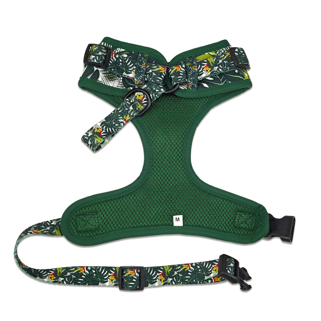 Dog Leash Harness And Collar Set