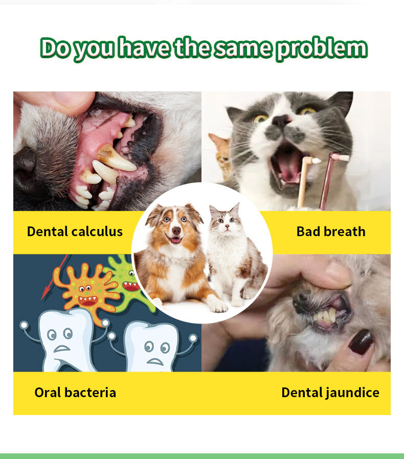 Teeth Cleaning Powder Oral Cleaning Smelly Dog Edible Teeth Cleaning Stone Tooth Cleaning Powder