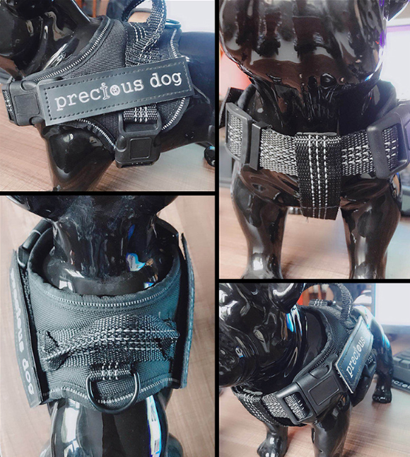 Simple Pet Harness