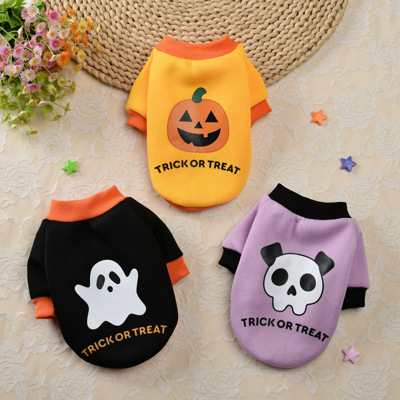 Halloween Pumpkin Skull Small Dog Sweater