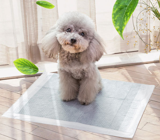 Non-Woven Pet Diapers