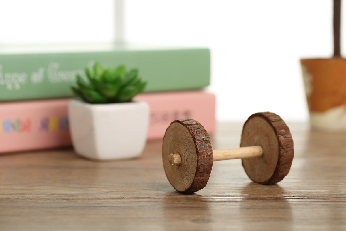 Natural Wooden Chase Toy