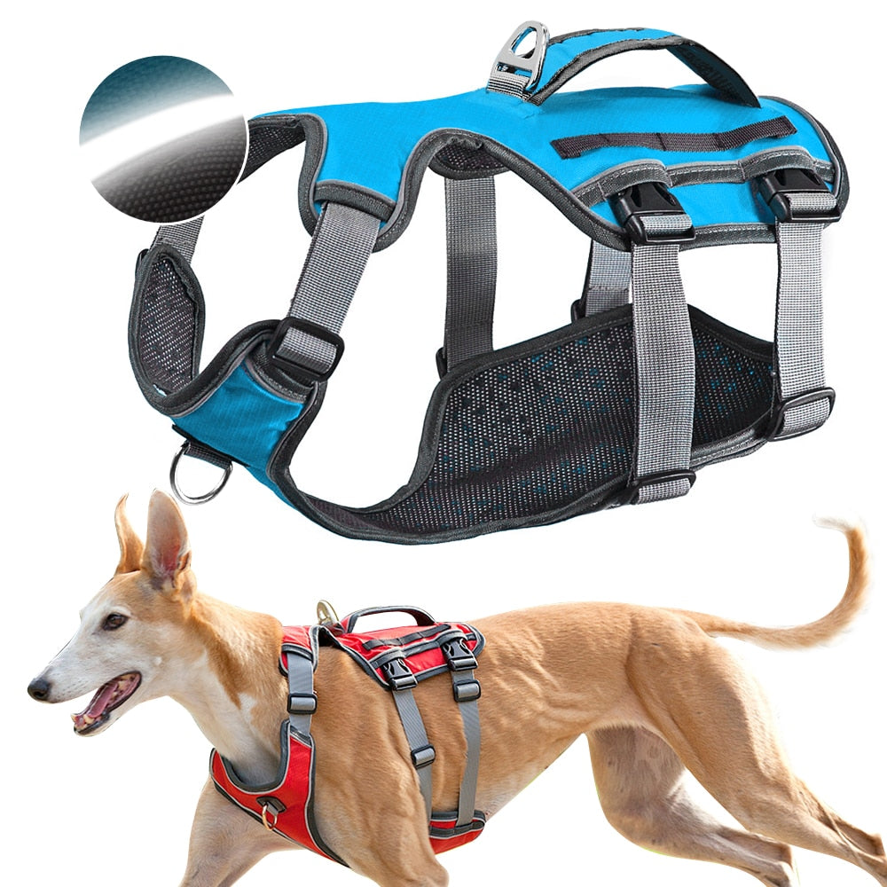 Dog Thoracolumbar Band
