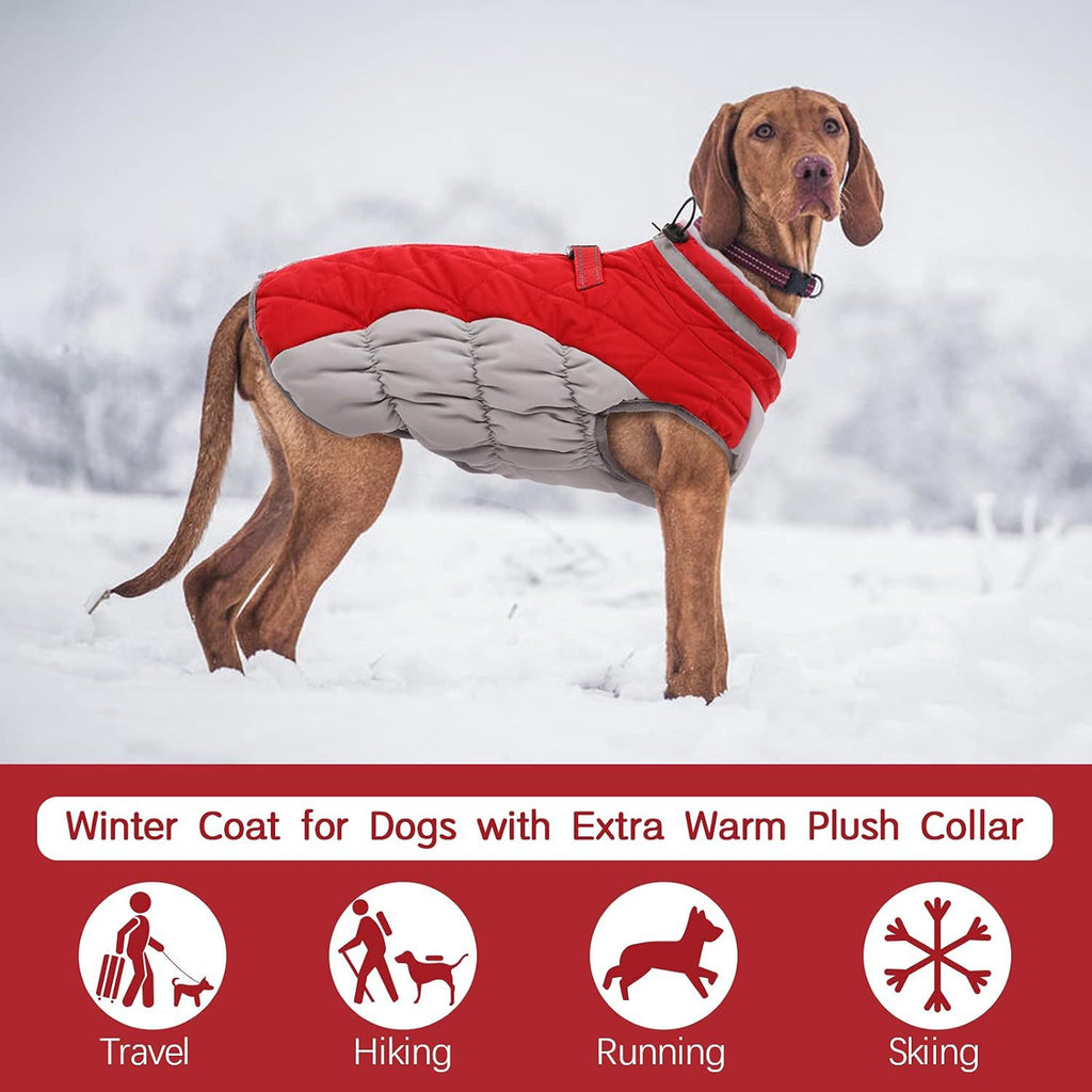 Warm Padded Winter Dog Coat