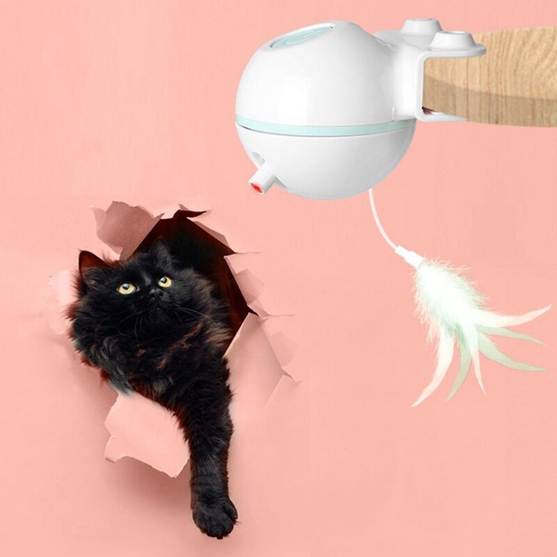 Pet Toy Ball