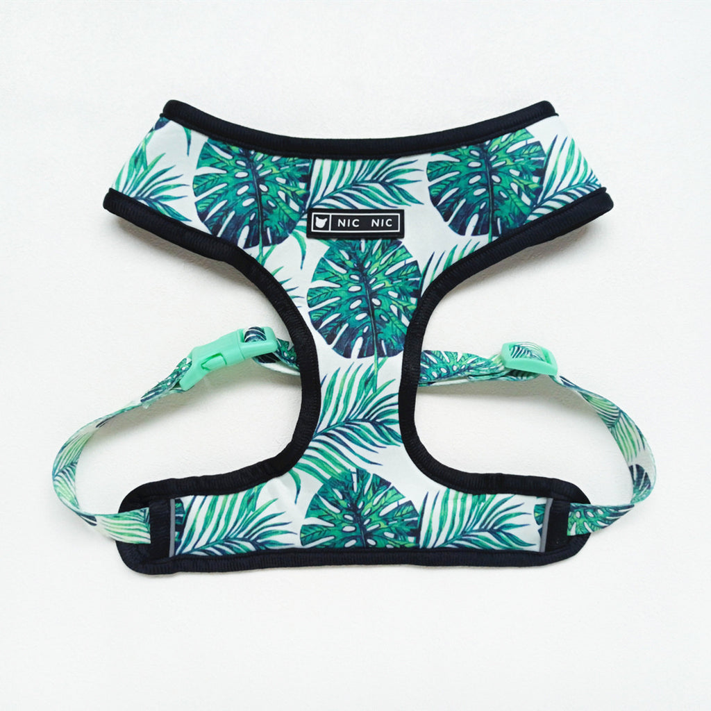Small Dog Pet Harness