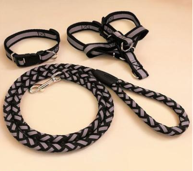 Pet Dog Leash