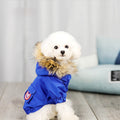 Pet Dog Clothes and Hat