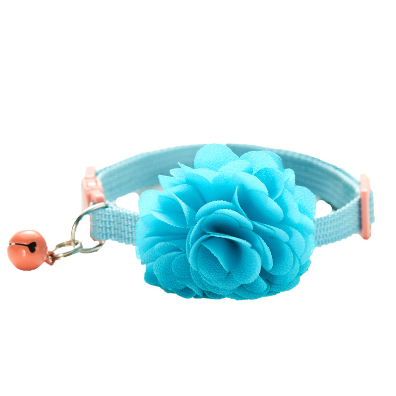 Safety Buckle Color Collar