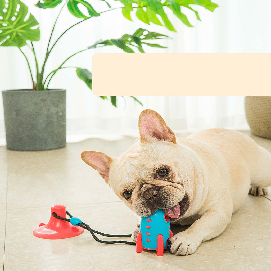 Rocket Dog Leaking Food Bite Toy