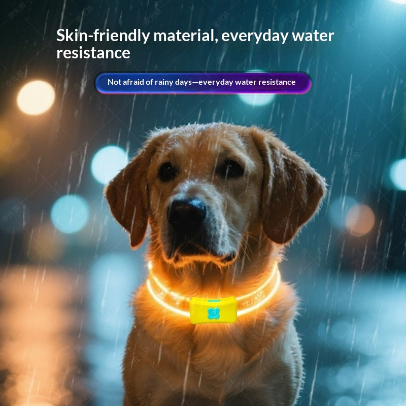 Glowing Dog Collar For Nighttime Walks