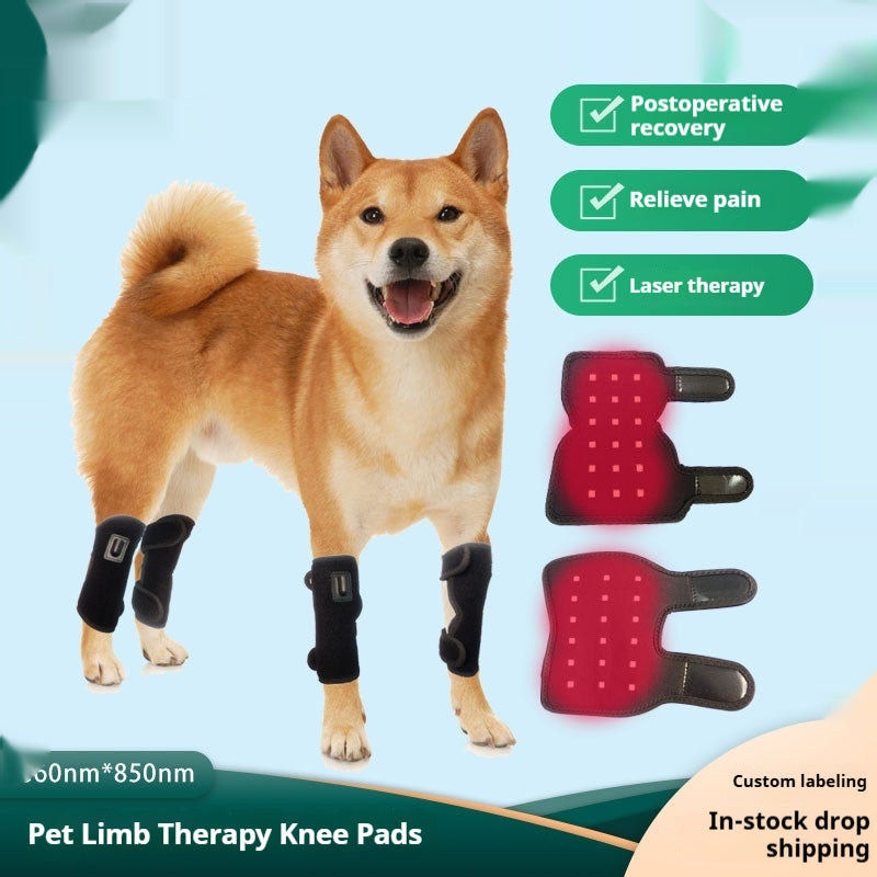 Pet Four-Leg Red Light Therapy Mat