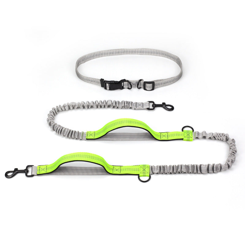 Outdoor Running Dog Leash