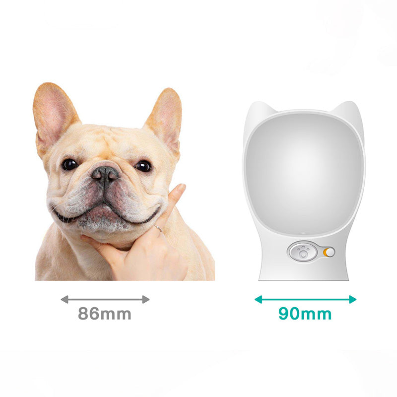 Portable Pet Water Bottle for Dogs and Cats