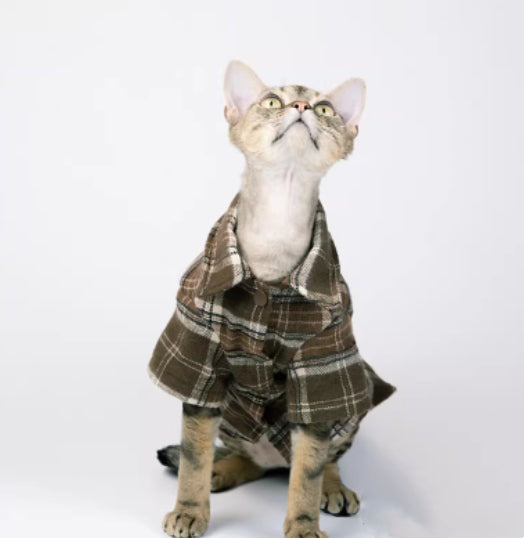 Cool Skin-Friendly Short-Sleeve Summer Cat T-Shirt
