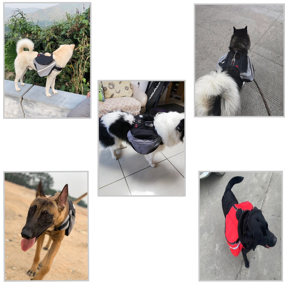 Dogs Go Out From Backpack
