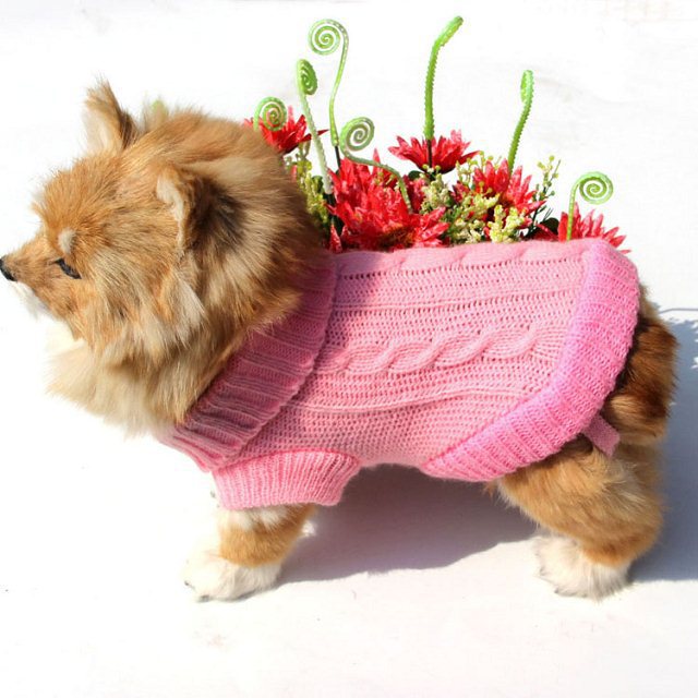 Knitted Dog Sweater With Buttons
