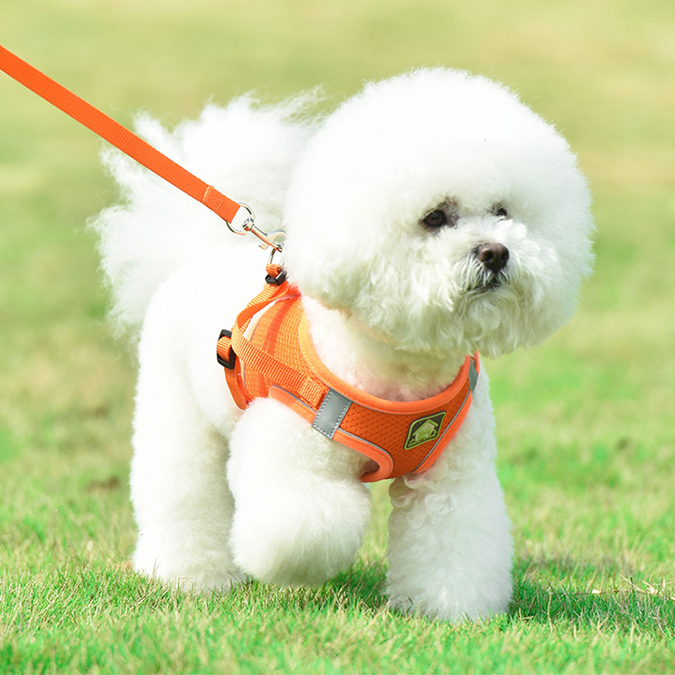 Dog Vest Style Traction Rope