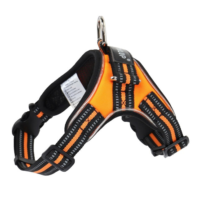 Glowing LED Dog Collar