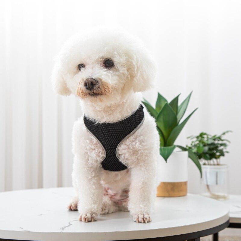 Vest-Style Dog Walking Harness Leash