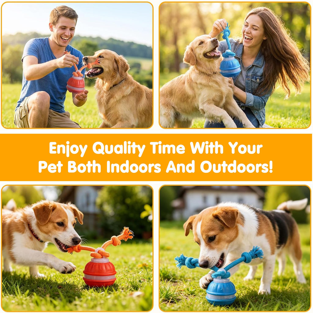 Interactive Dog Toys,Dog Ball Toy With Squeaky Birdsong Sound And Stimulation,Automatic Motion Activated Dog Toy For Boredom,Indoor Outdoor