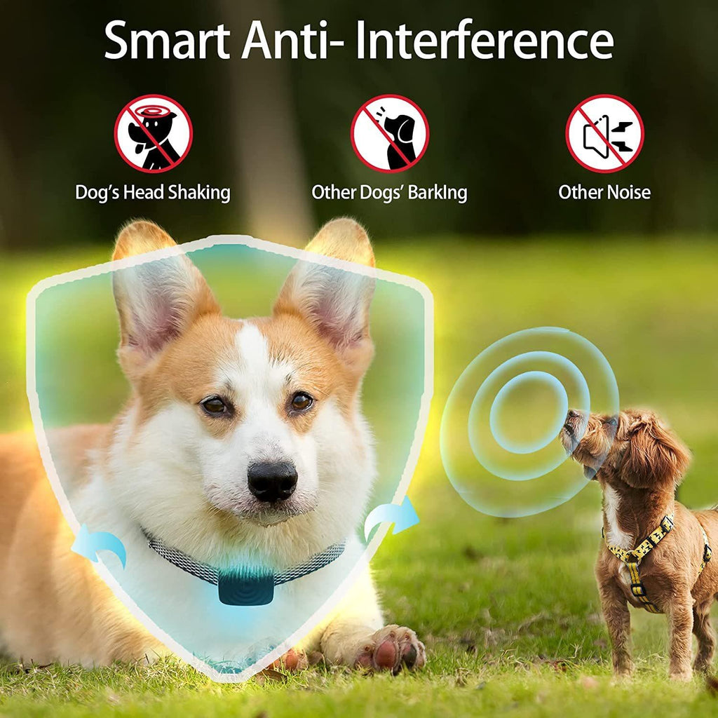 Smart Anti-Bark Dog Collar With Vibration