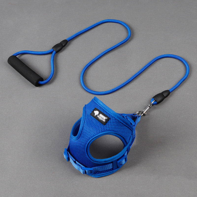 Dog Leash and Collar