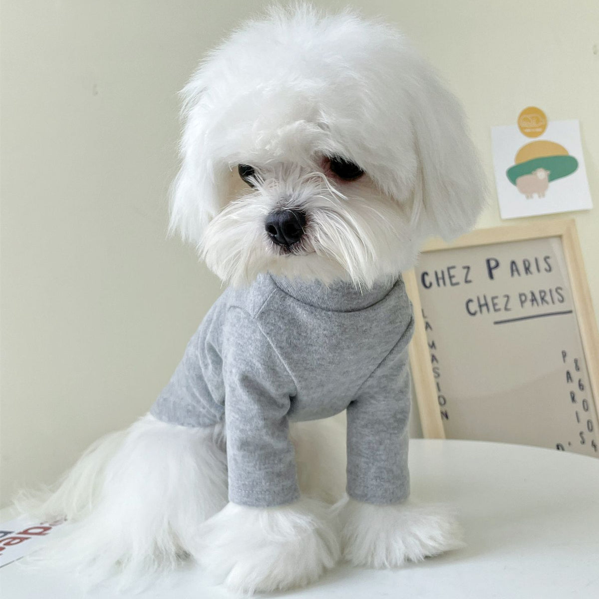 High-Neck Slim Dog Shirt