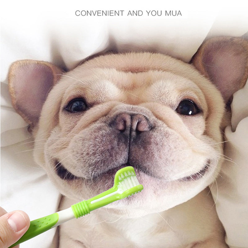 Pet Three-Head Toothbrush and Finger Brush Set