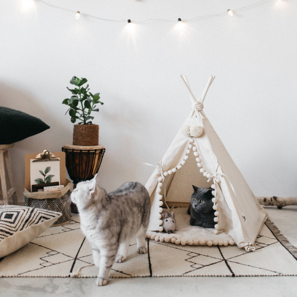 Pet Tent Bed for Cats and Small Dogs