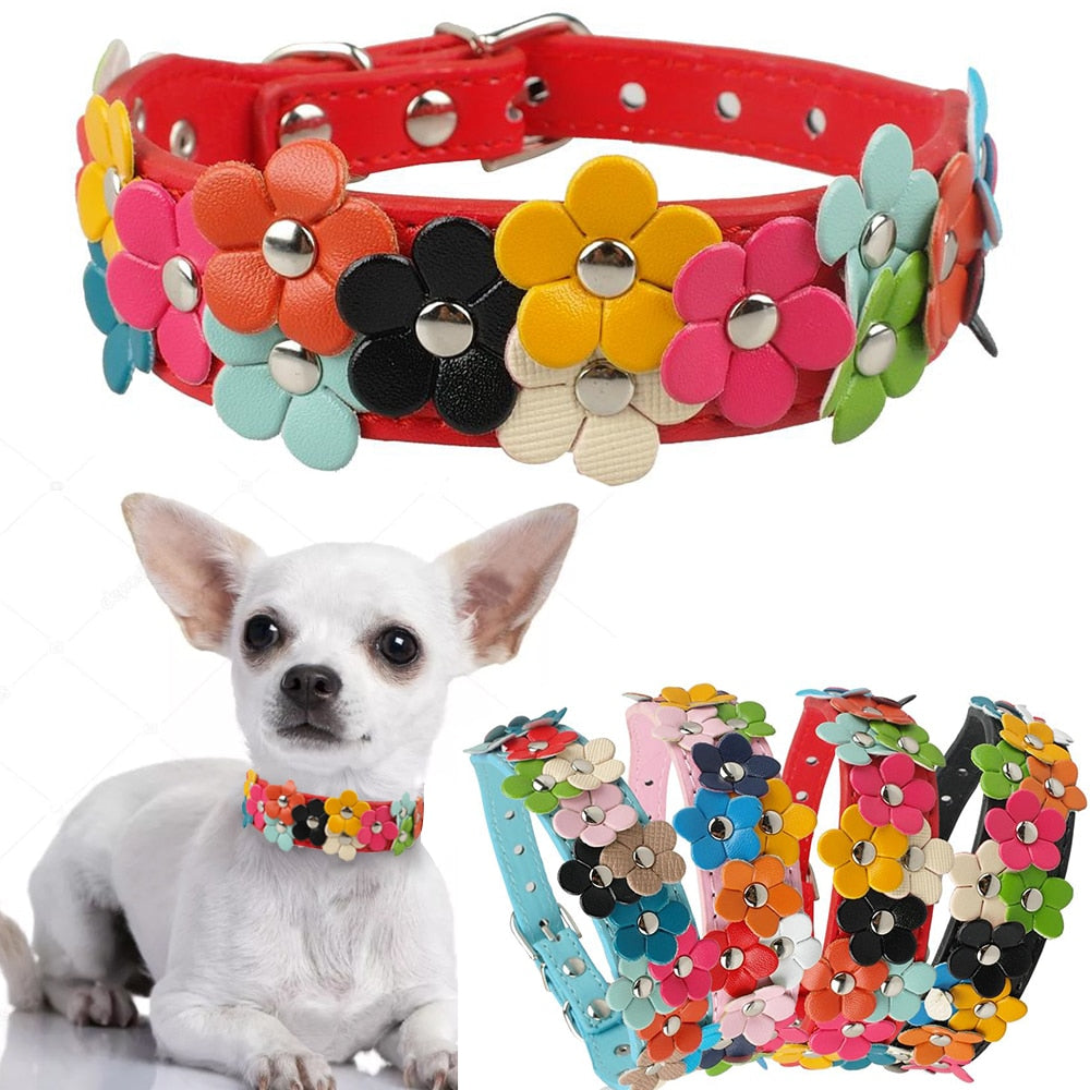 Double Row Flower Pet Collar