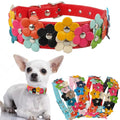 Double Row Flower Pet Collar