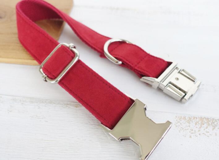 Everyday Dog Traction Collar