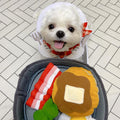 Bacon Breakfast Dog Sniffing Toy
