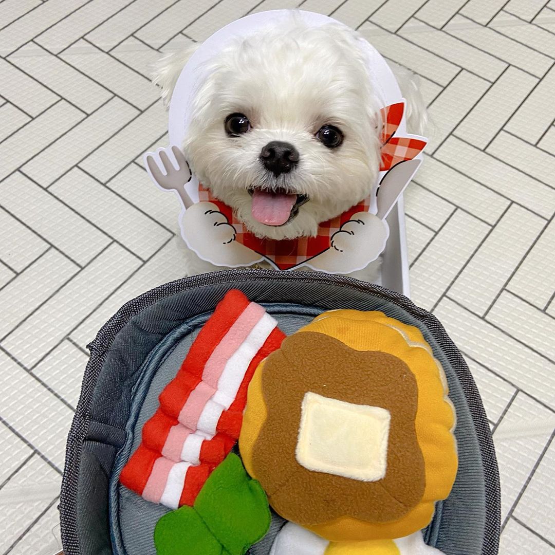 Bacon Breakfast Dog Sniffing Toy