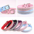 Water Drill Pet Collar