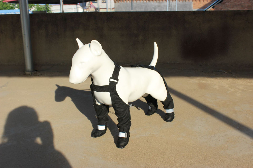 Waterproof Non-Slip Dog Shoes With Strap