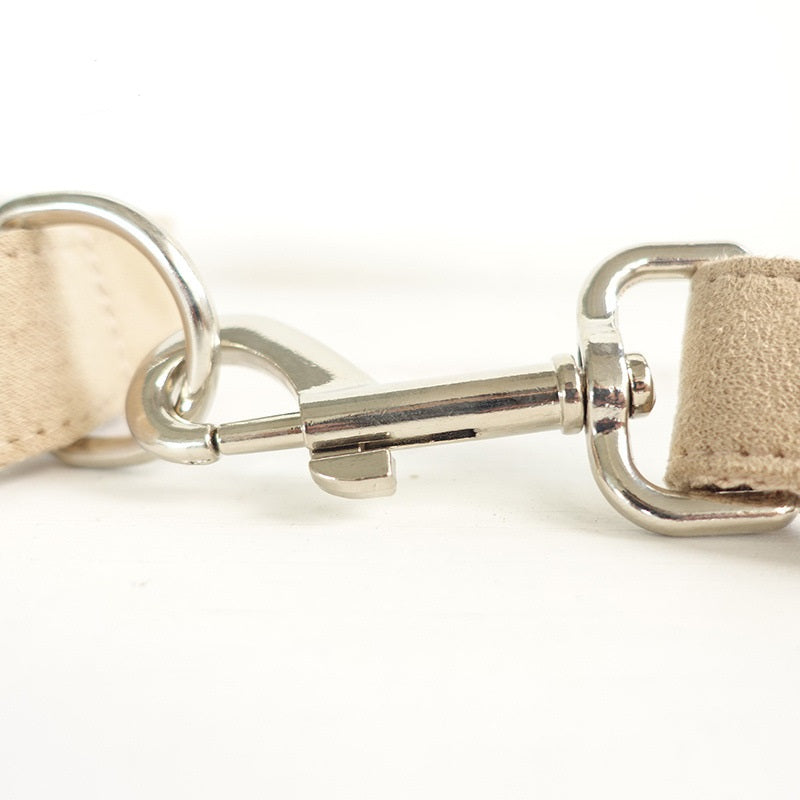 Dog Collar Traction Rope