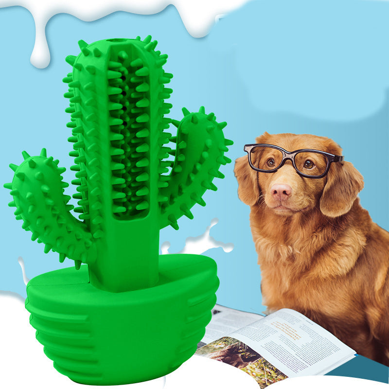 Pet Molar Stick