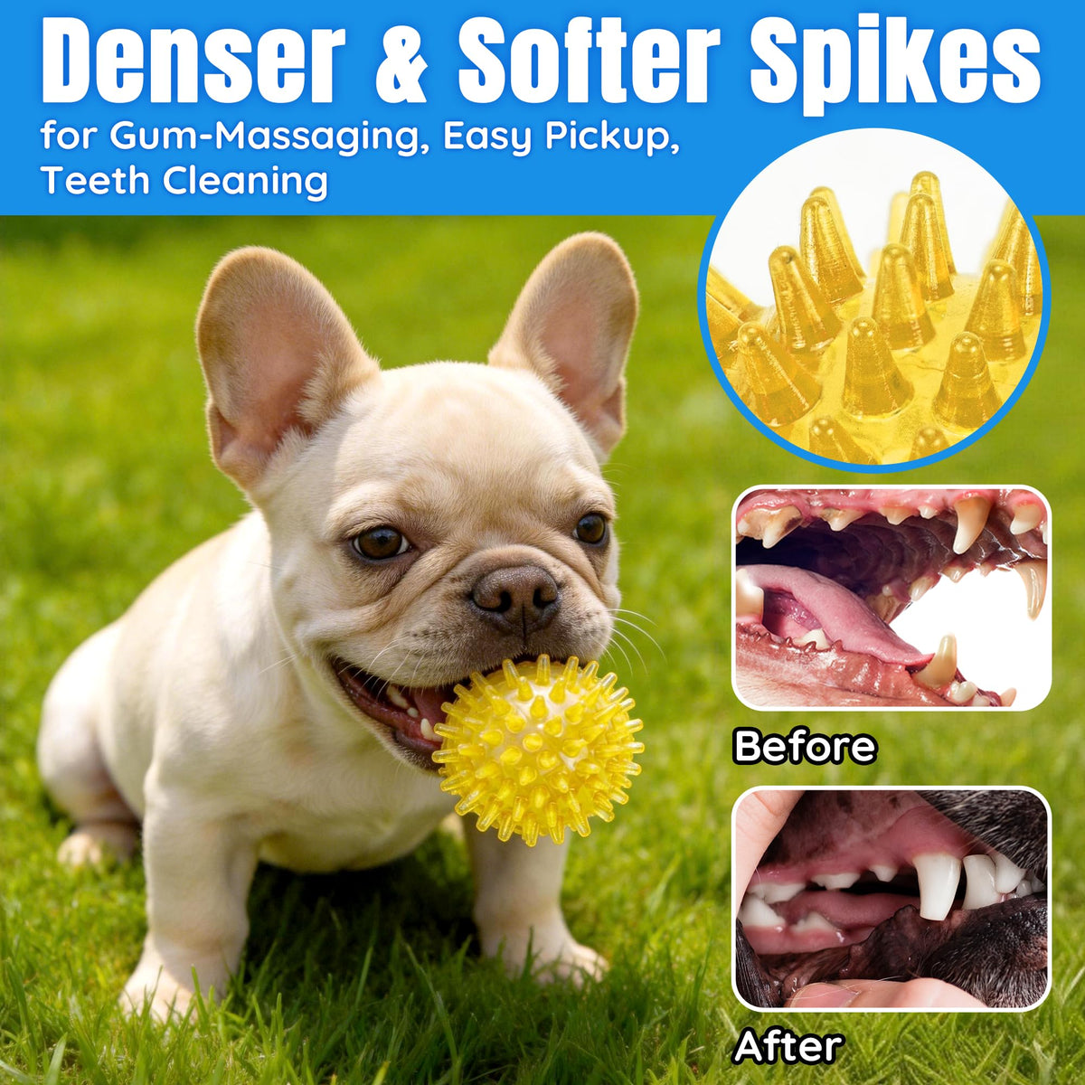 12-Pack Squeaky Spiky TPR Dog Balls