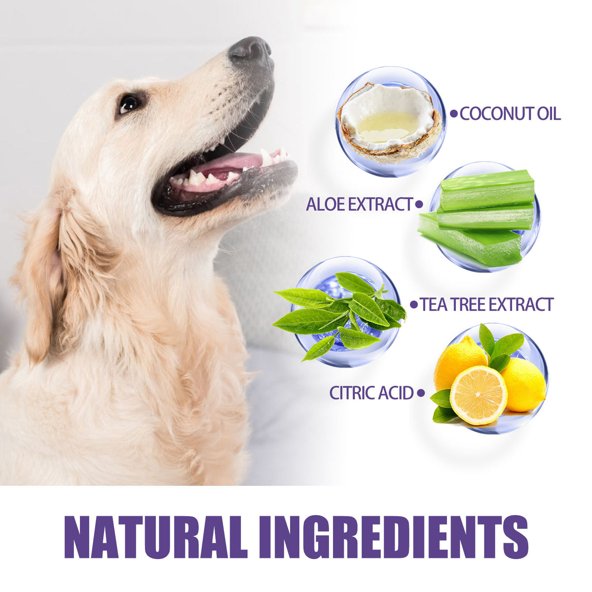 Pet Cleaning Gloves Wet Wipes Pet Gum Care Gentle Cleaning Teeth Remove Tartar Odor