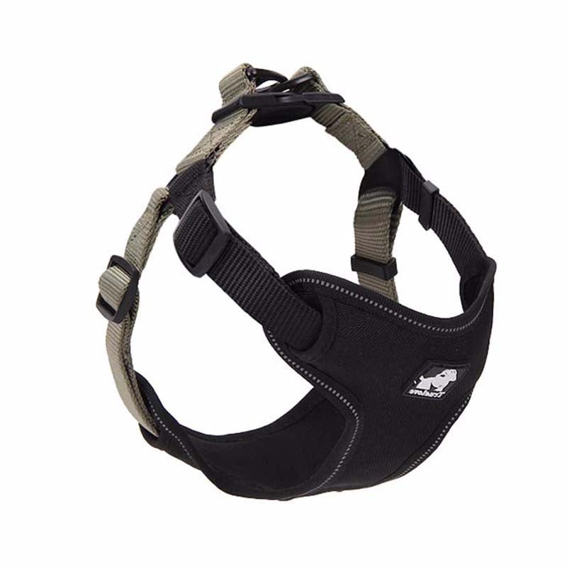 Dog Leash Collar Walking Dog Leash