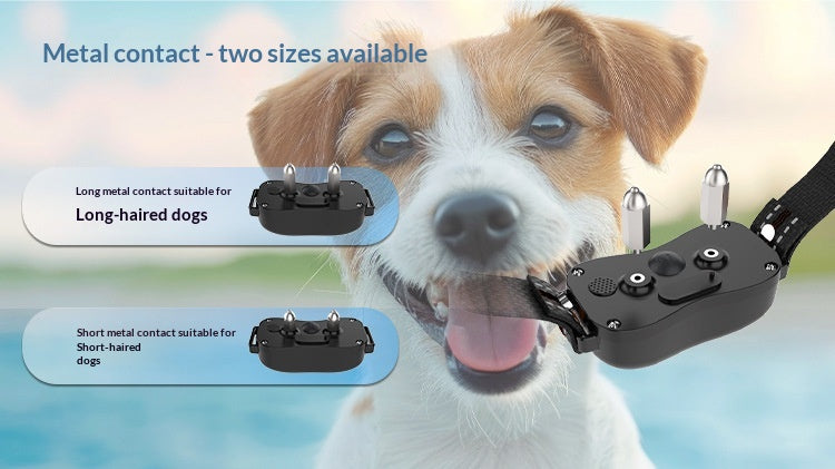 Remote 2-In-1 Dog Training Device