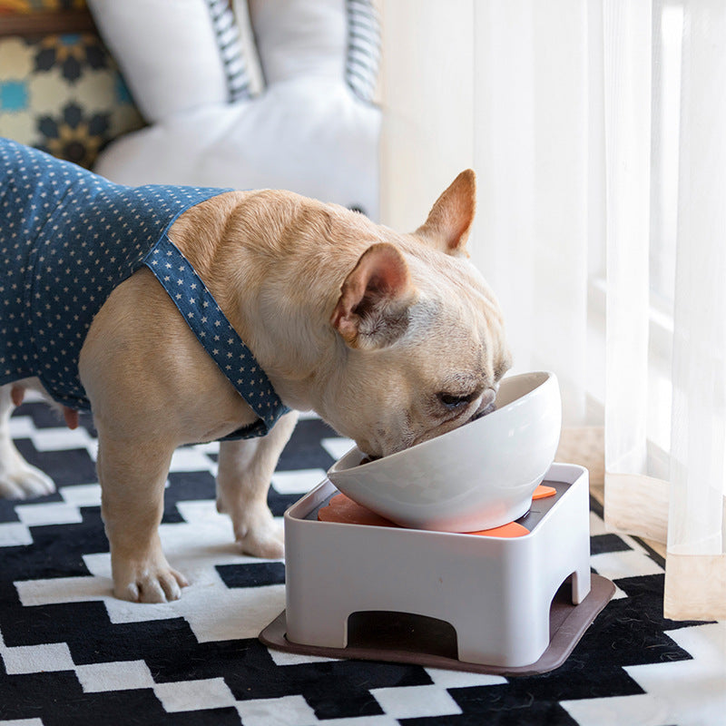 Ceramic Pet Bowl with Dining Table