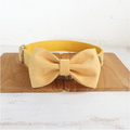Pet Dog Collar And Traction Rope