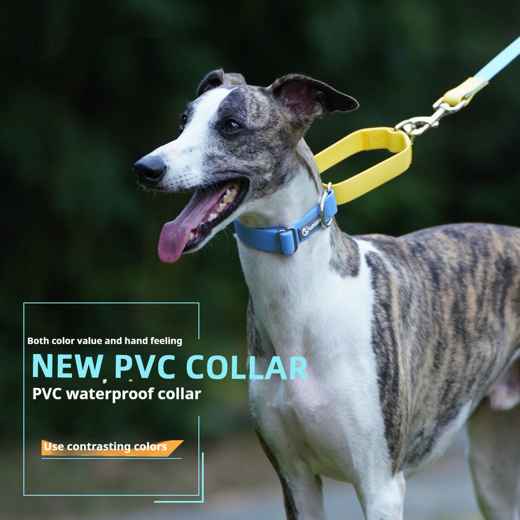 Plastic Waterproof Traction Collar Pet Supplies Tow Rope Collar