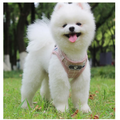 Dog Traction Rope Vest Walking Dog Rope