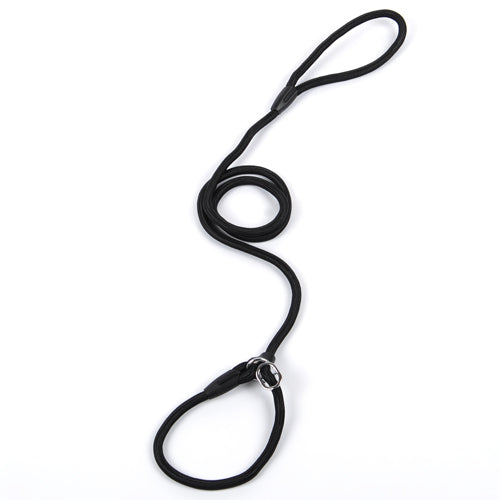 Nylon Dog Leash