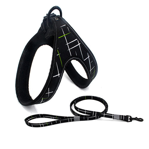 Colorful Dog Walking Harness And Leash