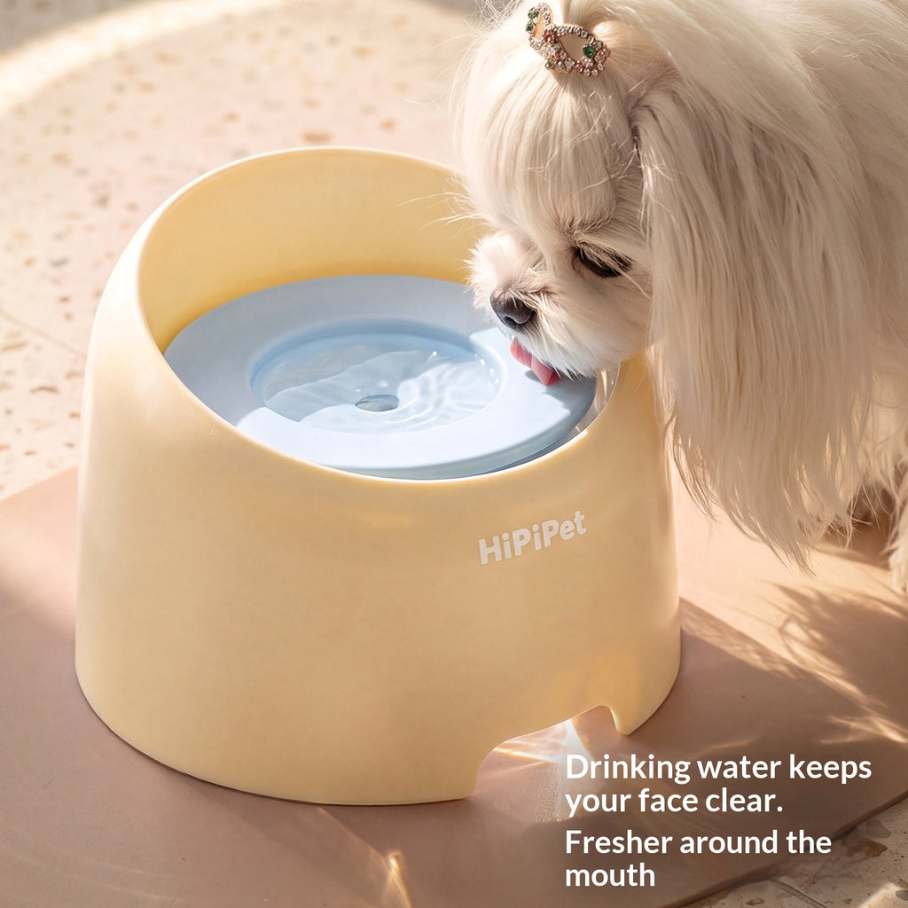 Large-Capacity Non-Drip Water Bowl With Neck Support